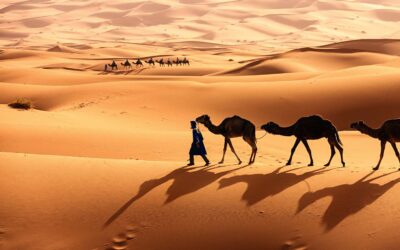 The Enigmatic Deserts Of Africa